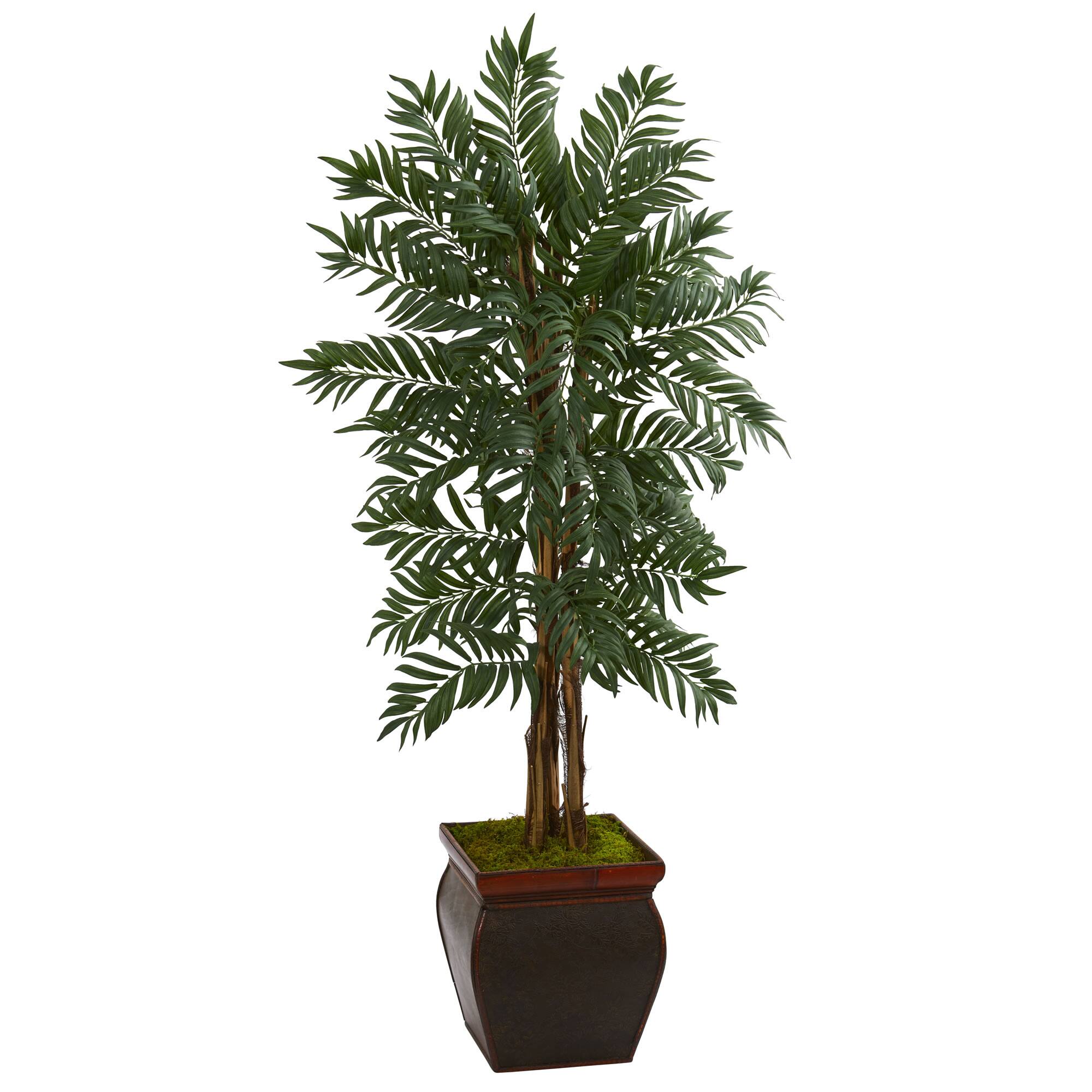 5ft. Parlor Palm Tree in Decorative Planter
